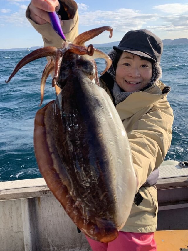 モンゴウ(カミナリイカ)