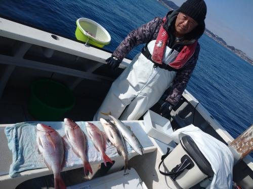 マダイ・クロダイ・イナダ(ブリ)