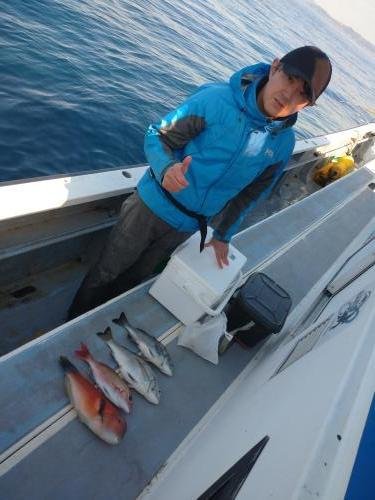 マダイ・クロダイ・イラ