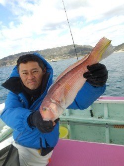 アマダイ(アカアマダイ)