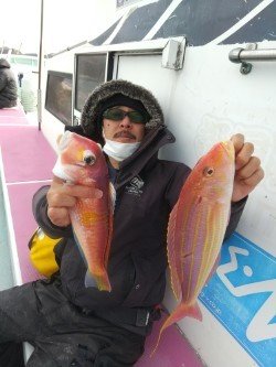 アマダイ(アカアマダイ)・イトヨリ(イトヨリダイ)