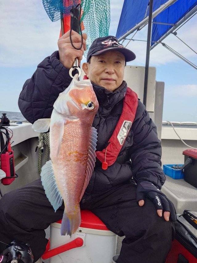 アマダイ(アカアマダイ)