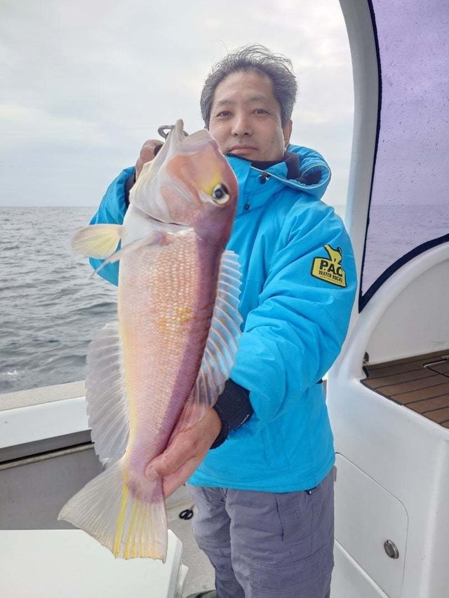 アマダイ(アカアマダイ)