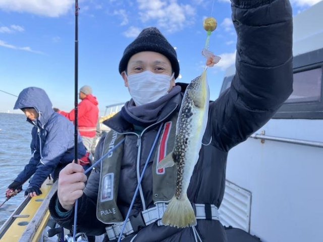 ショウサイフグ