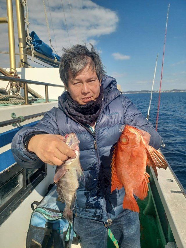 チカメキントキ・ハタ(マハタ)