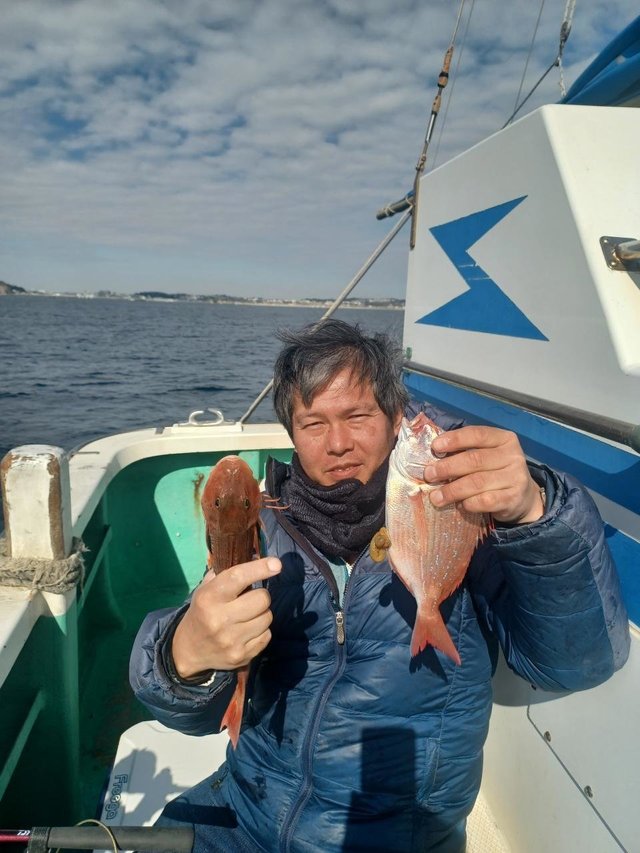 ハナダイ(チダイ)・ホウボウ