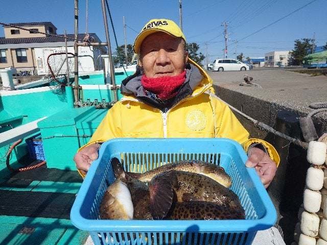 ヒガンフグ・ショウサイフグ