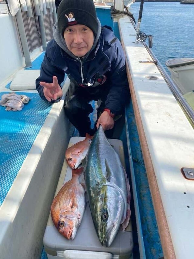 マダイ・ワラサ(ブリ)