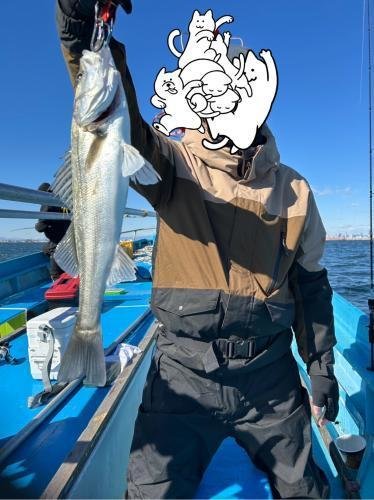 シーバス(スズキ)