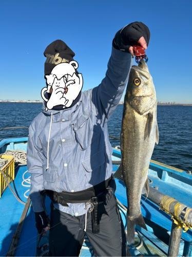 シーバス(スズキ)