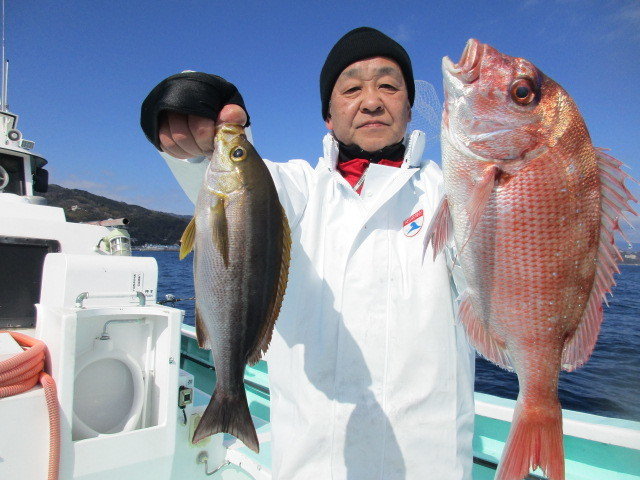 マダイ・イサキ