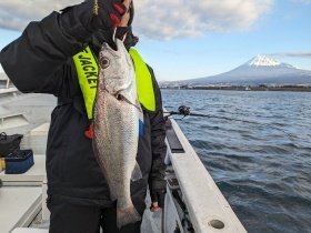 メイゴ(クログチ)