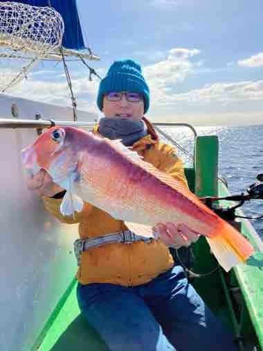 アマダイ(アカアマダイ)