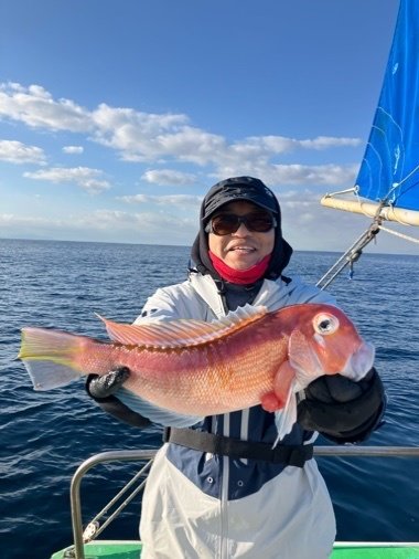 アマダイ(アカアマダイ)