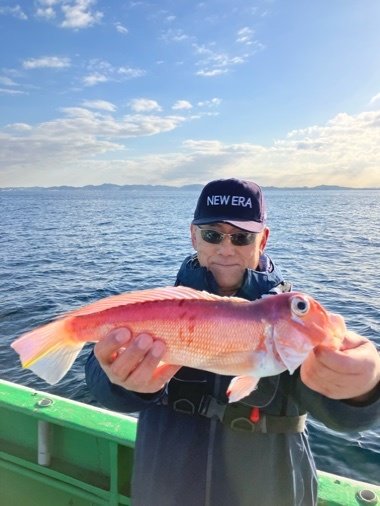 アマダイ(アカアマダイ)