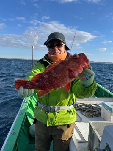 カンコ(ウッカリカサゴ)