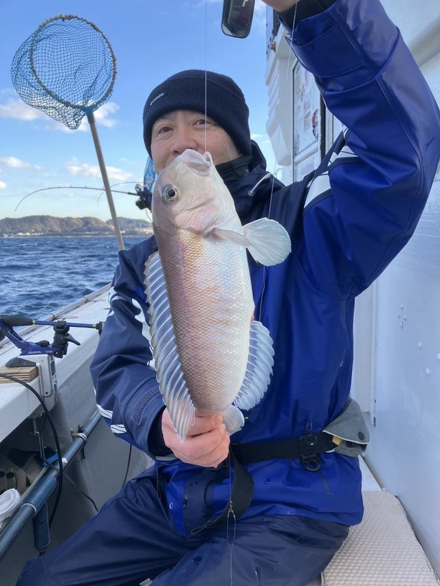 アマダイ(アカアマダイ)