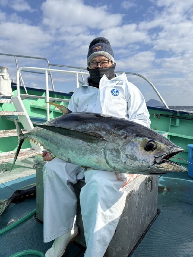 キハダマグロ(キハダ)