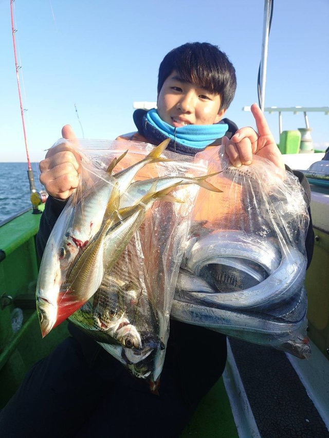 クロダイ・アジ(マアジ)・タチウオ