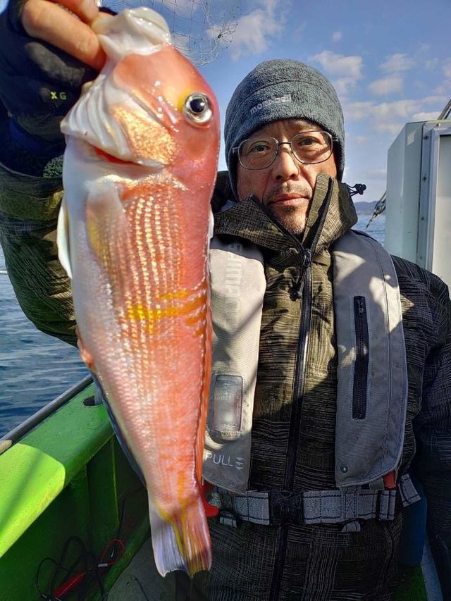 アマダイ(アカアマダイ)