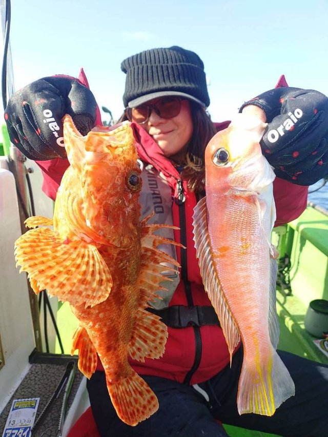 アマダイ(アカアマダイ)・オニカサゴ