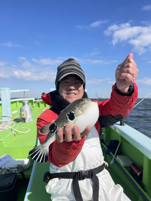 フグ(ショウサイフグ)