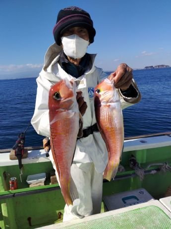 アマダイ(アカアマダイ)