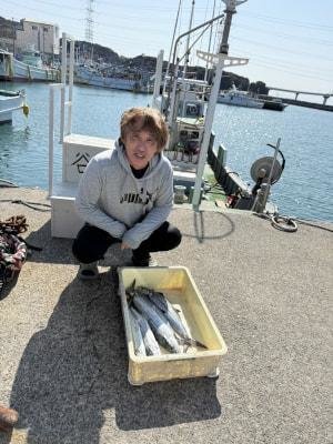 サゴシ(サワラ)・ヤナギ(サワラ)