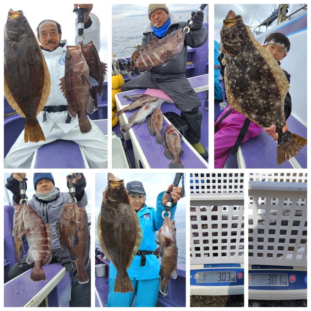 マハタ・ヒラメ