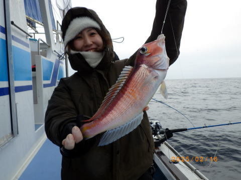 アマダイ(アカアマダイ)