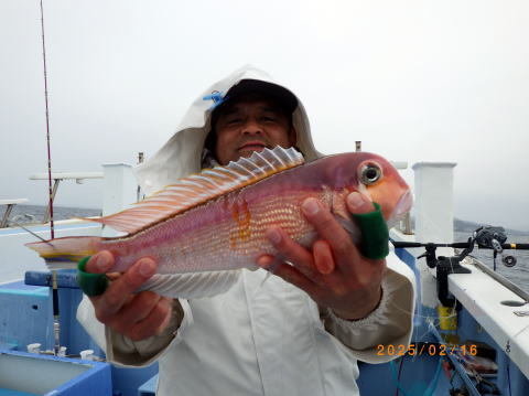 アマダイ(アカアマダイ)