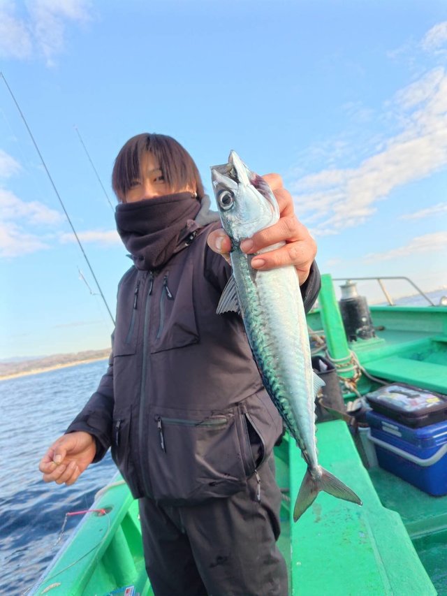 サバ(ゴマサバ)