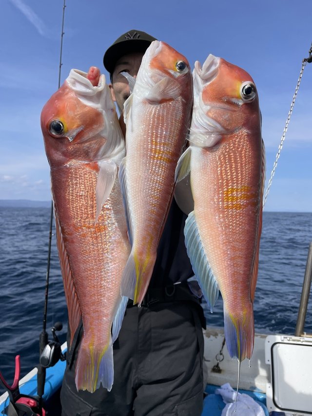 アマダイ(アカアマダイ)