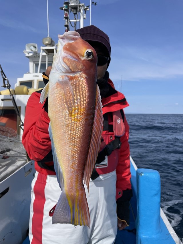 アマダイ(アカアマダイ)