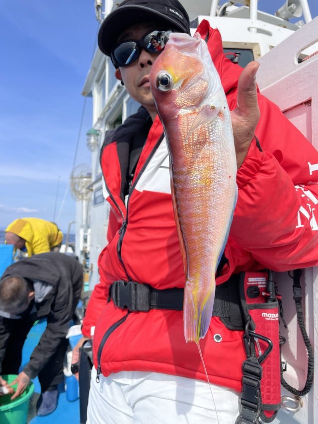 アマダイ(アカアマダイ)