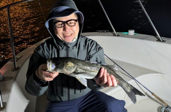 シーバス(スズキ)