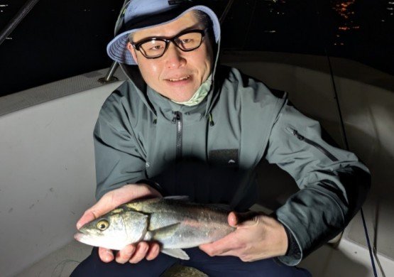 シーバス(スズキ)