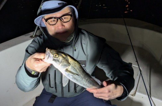 シーバス(スズキ)