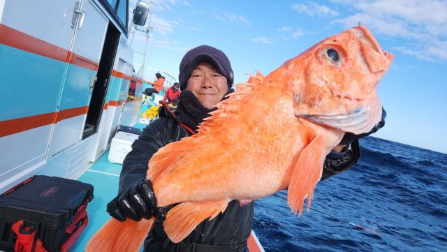 メヌケ(アコウダイ)