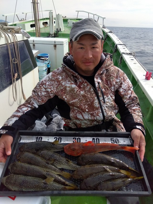 フグ(ショウサイフグ)