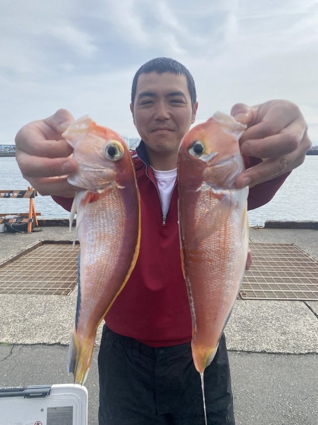 アマダイ(アカアマダイ)