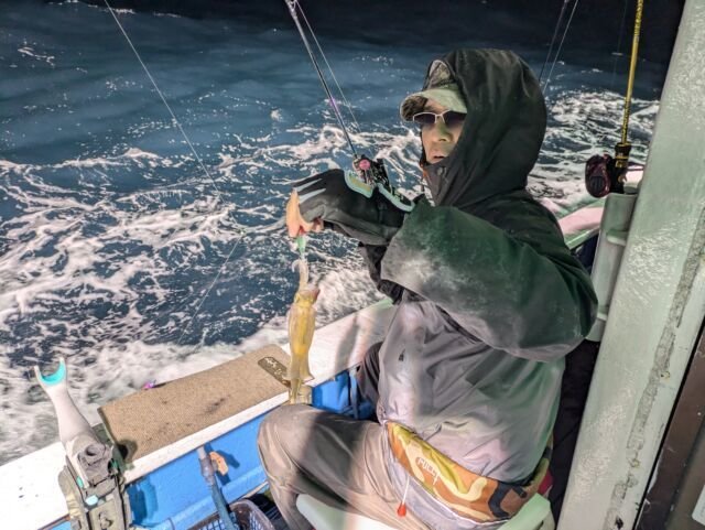 マイカ(ケンサキイカ)