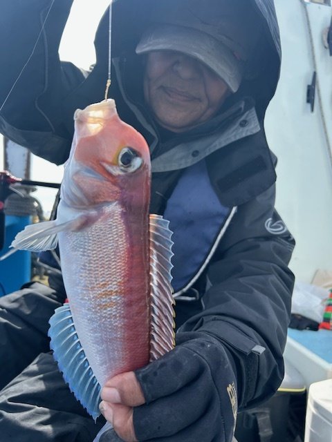 アマダイ(アカアマダイ)