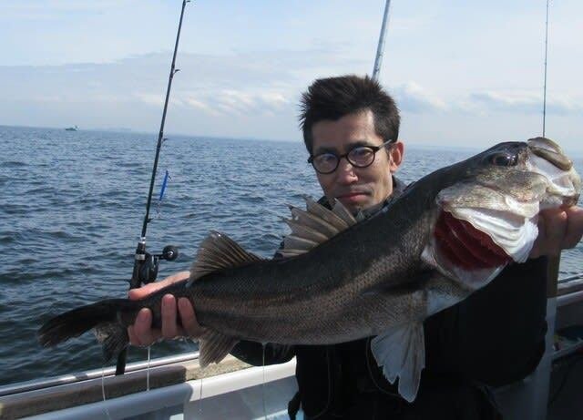 シーバス(スズキ)