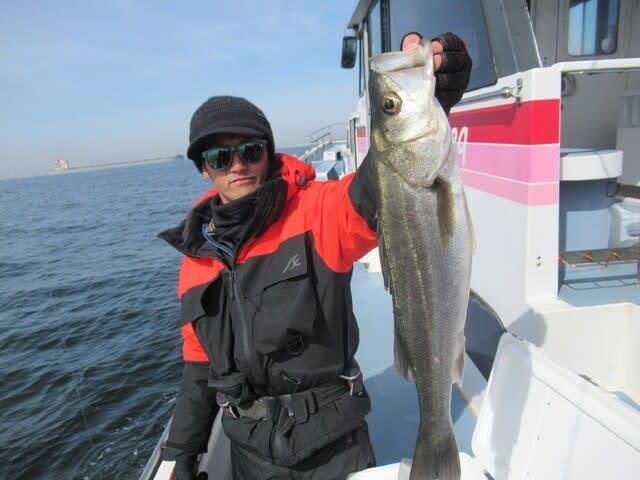 シーバス(スズキ)