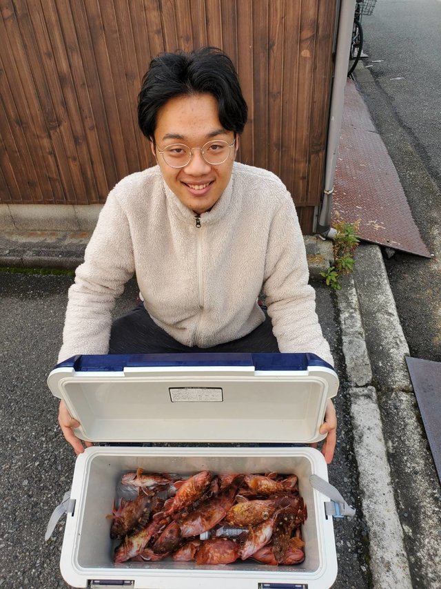 ガシラ(カサゴ)