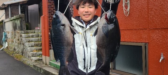 イシダイ70cm！1匹！の釣果｜2025年2月16日｜榎本渡船（三重/梶賀漁港