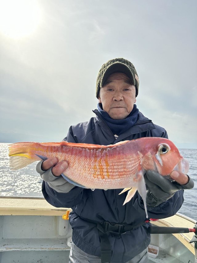 アマダイ(アカアマダイ)