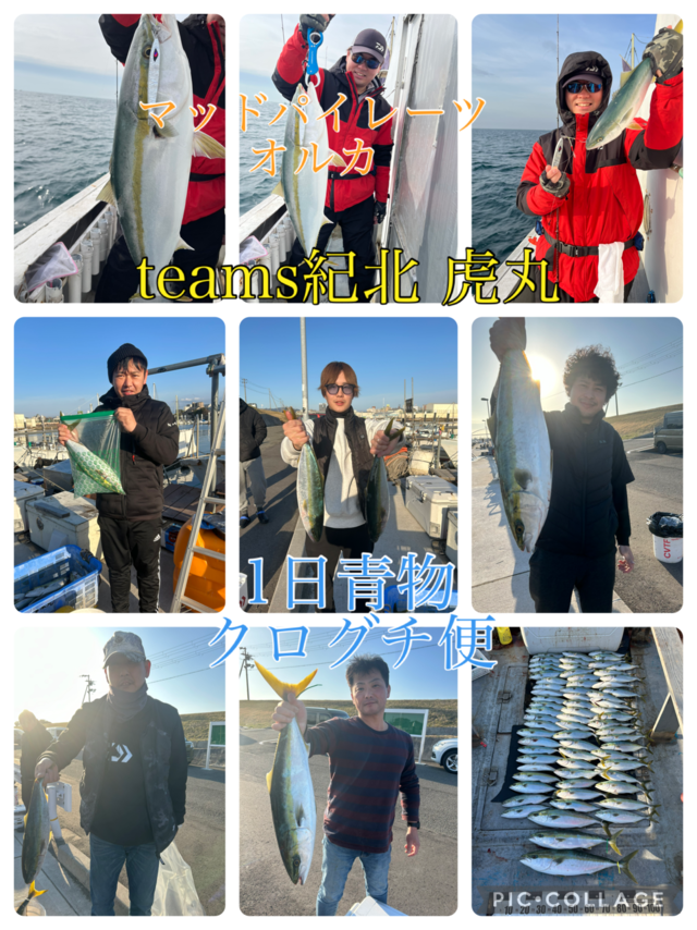 ブリ・ハマチ(ブリ)・メジロ(ブリ)