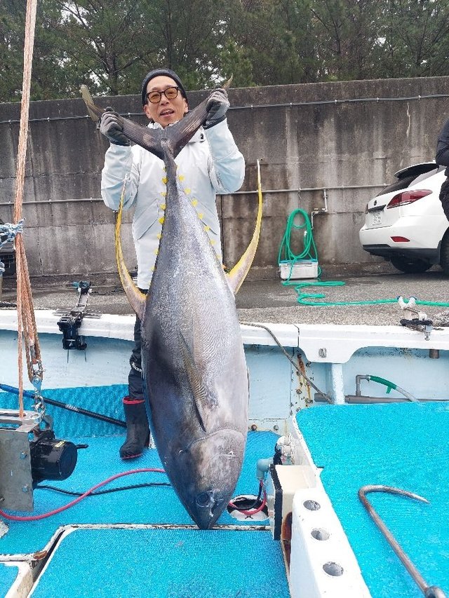 キハダマグロ(キハダ)